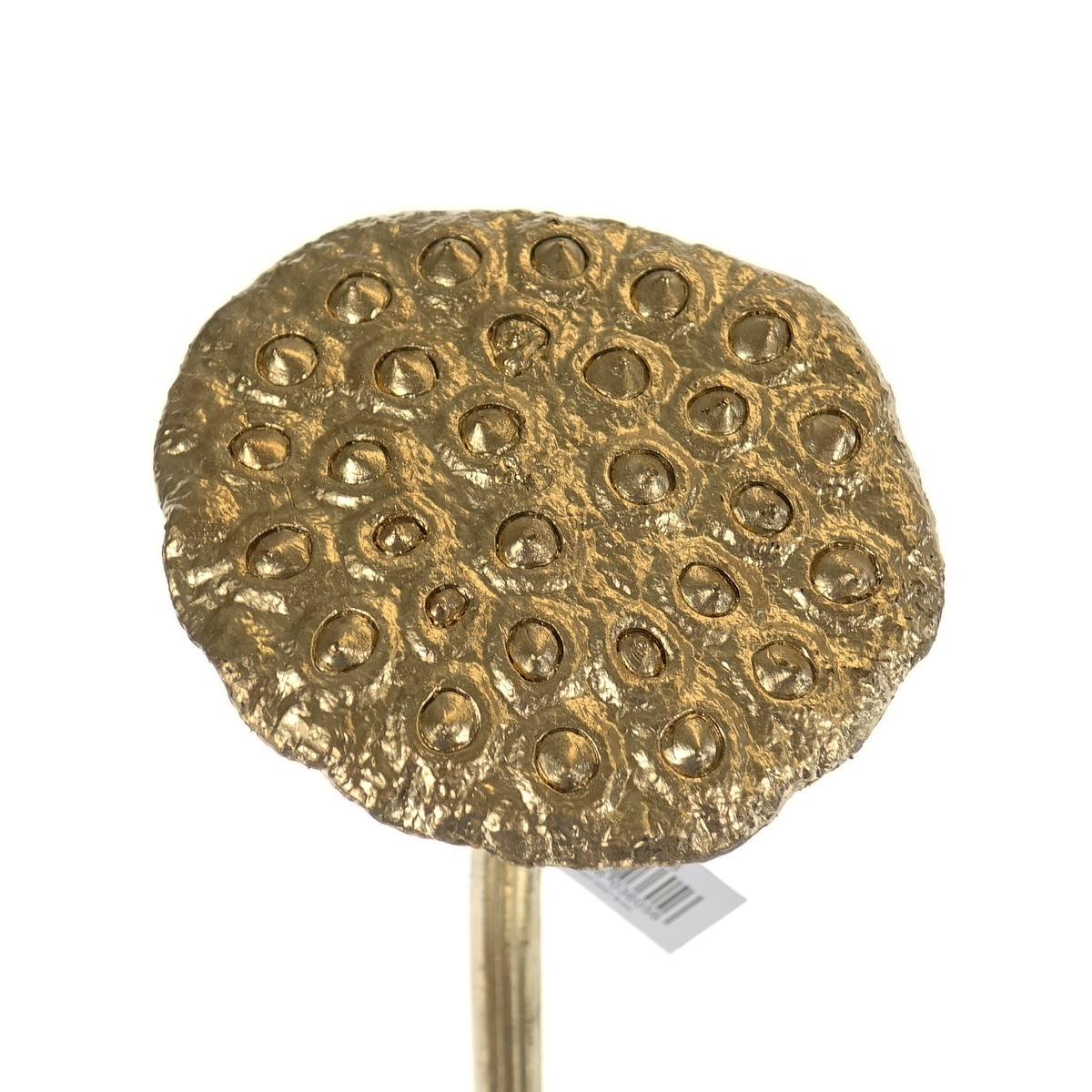Dpi Weihnachtsdeko Lotus Fruchtstand Goldfarben 75 Cm - Kunstblumen