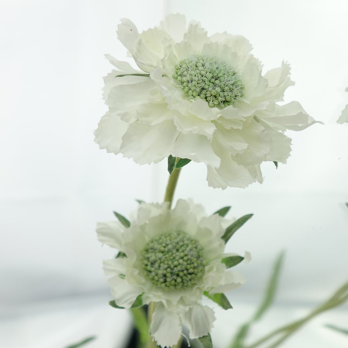 Deko® Florale Scabiose Weiß 60 Cm - Kunstblumen