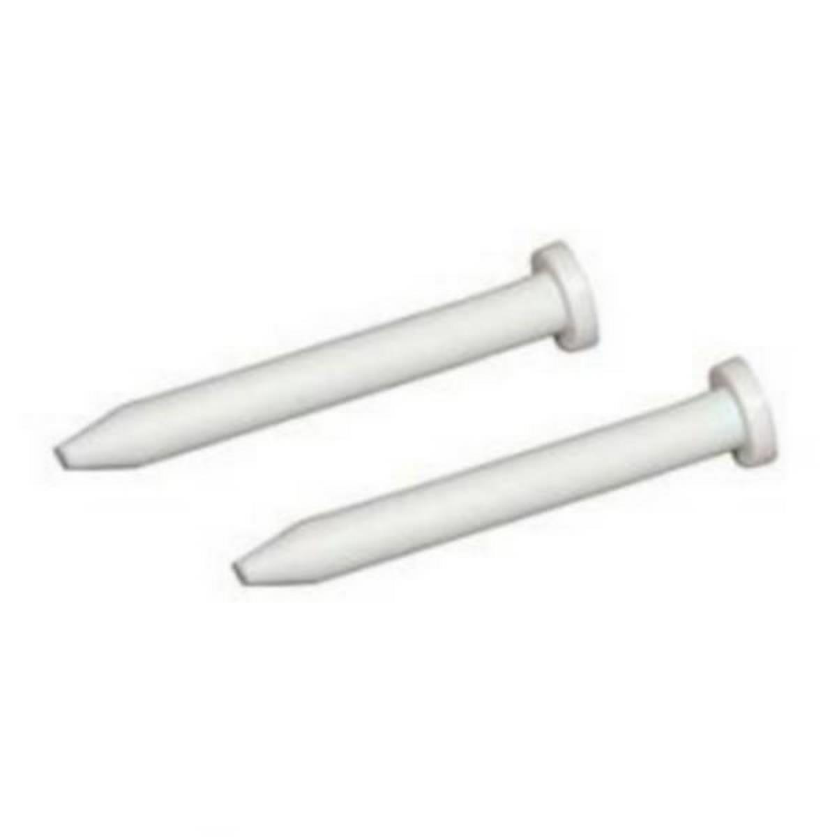 Ersatzteil - Scharnierstift Für Tür X2 - - Candy, Hoover, Iberna, Proline, Thomson, Fagor, Selecline, Haier, Saba, Zerowatt, Rosieres, Essentiel B, Crystal, Otsein, Terzismo, Elvita, Helkama, Philco,