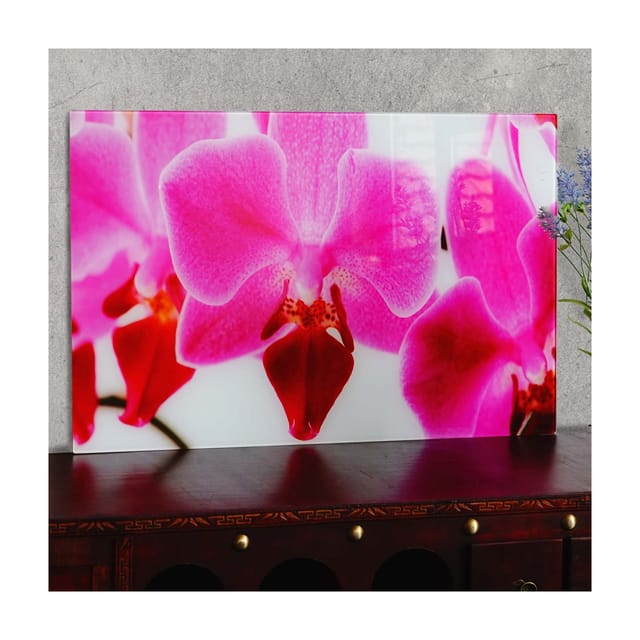 MCW Glasbild T117 40x60cm Orchidee