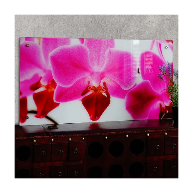 MCW Glasbild T114 50x100cm Orchidee