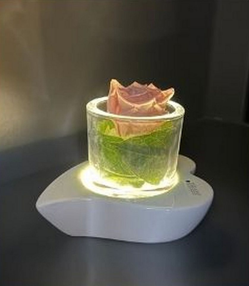 TIZIANO - DESIGN & EMOTIONS Dekolicht Windlicht Herzform Giore mit LED creme-weiß, LED fest integriert
