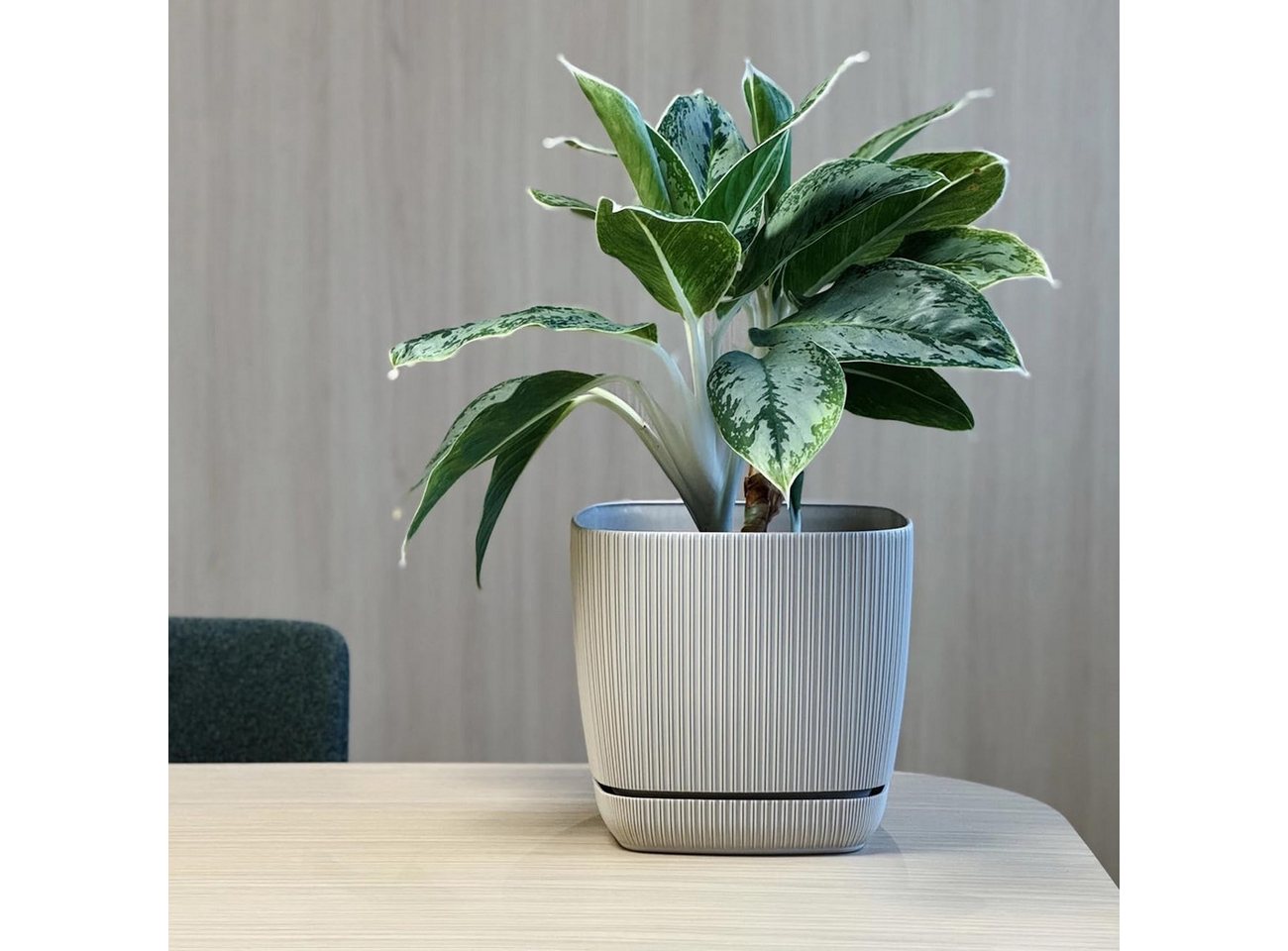 Engelland Blumentopf Pflanztopf mit Drainagesystem & Untersetzer (15 x 15 cm, 2 Liter, 1 St., robuster PP-Kunststoff), eckig, Rillenoptik, UV-resistent, direkte Bepflanzung