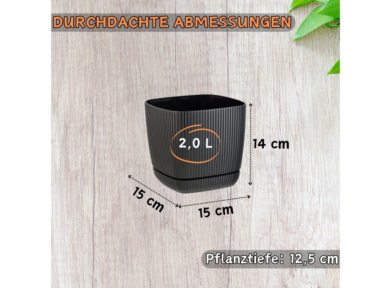 Engelland Blumentopf Pflanztopf mit Drainagesystem & Untersetzer (15 x 15 cm, 2 Liter, 1 St., robuster PP-Kunststoff), eckig, Rillenoptik, UV-resistent, direkte Bepflanzung Bild 3