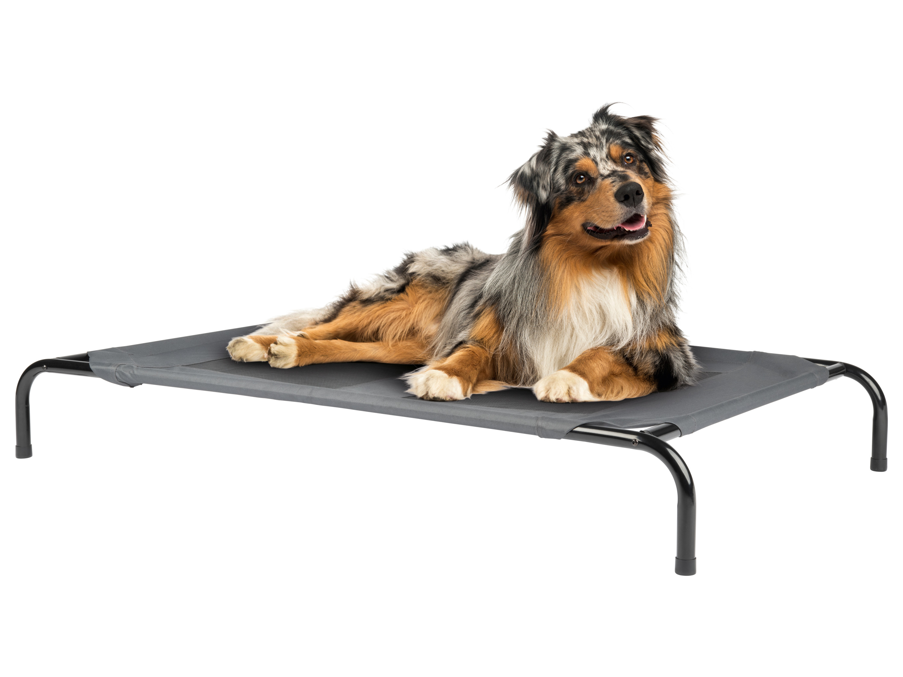 ZOOFARI® Haustierbett