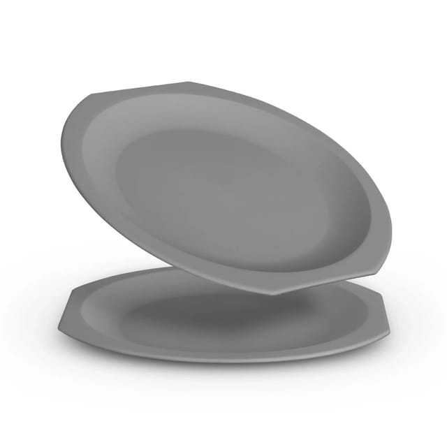 ProHome Kunststoff Teller BPA Frei Ø23 cm Grau 2er Pack