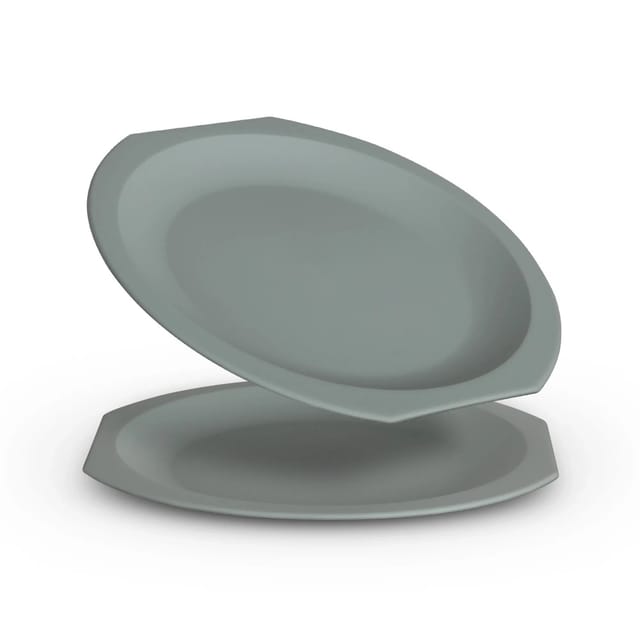 ProHome Kunststoff Teller BPA Frei Ø23 cm Grün 2er Pack