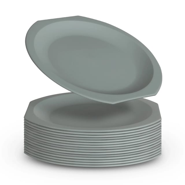 ProHome Kunststoff Teller BPA Frei Ø23 cm Grün 16er Pack