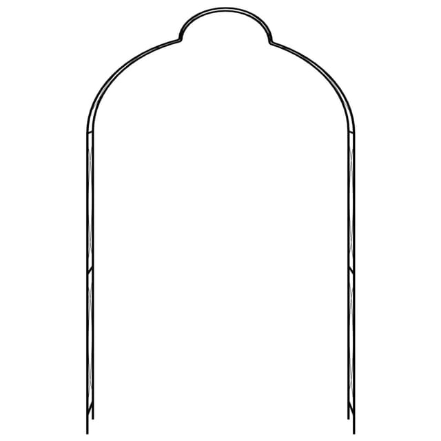 vidaXL Rosenbogen Schwarz 150 x 34 x 240 cm Eisen
