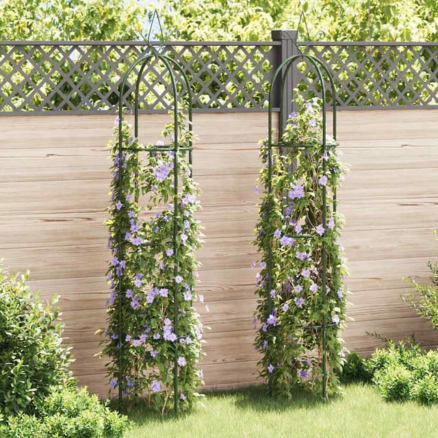 Vidaxl Garten-ranktürme 2 Stk.