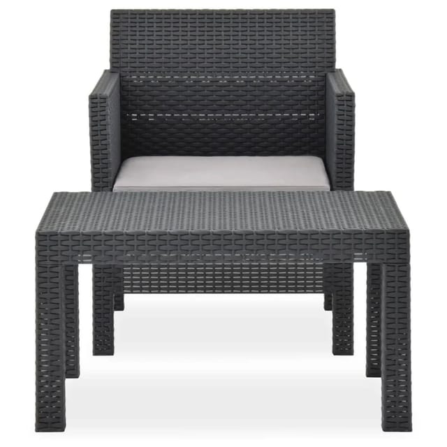 vidaXL 2-tlg Garten-Lounge-Set mit Auflage PP Rattan Anthrazit