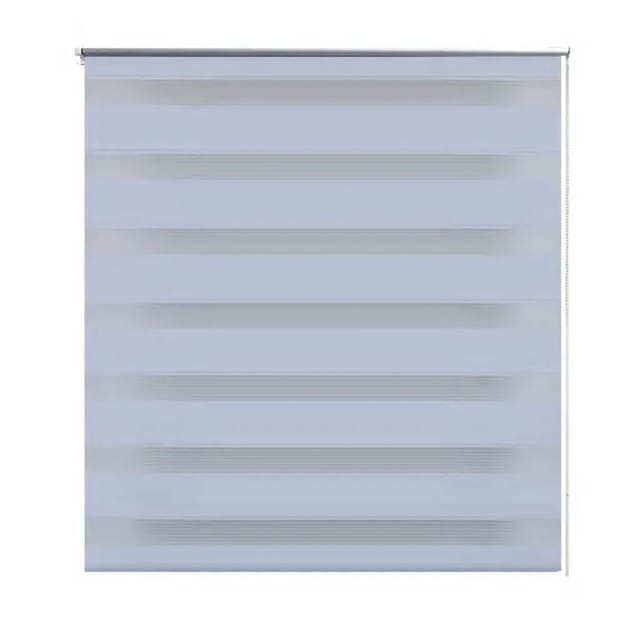 vidaXL Doppelrollo Seitenzug Duo 50 x 100 cm