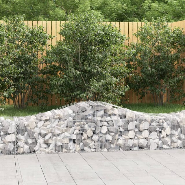 vidaXL Gabionen mit Hochbogen 30 Stk 200x50x40/60 cm Eisen 1581434