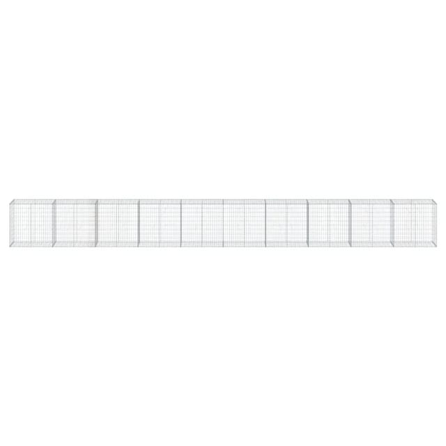 vidaXL Gabione mit Deckel 1000x50x100 cm Eisen 2149659