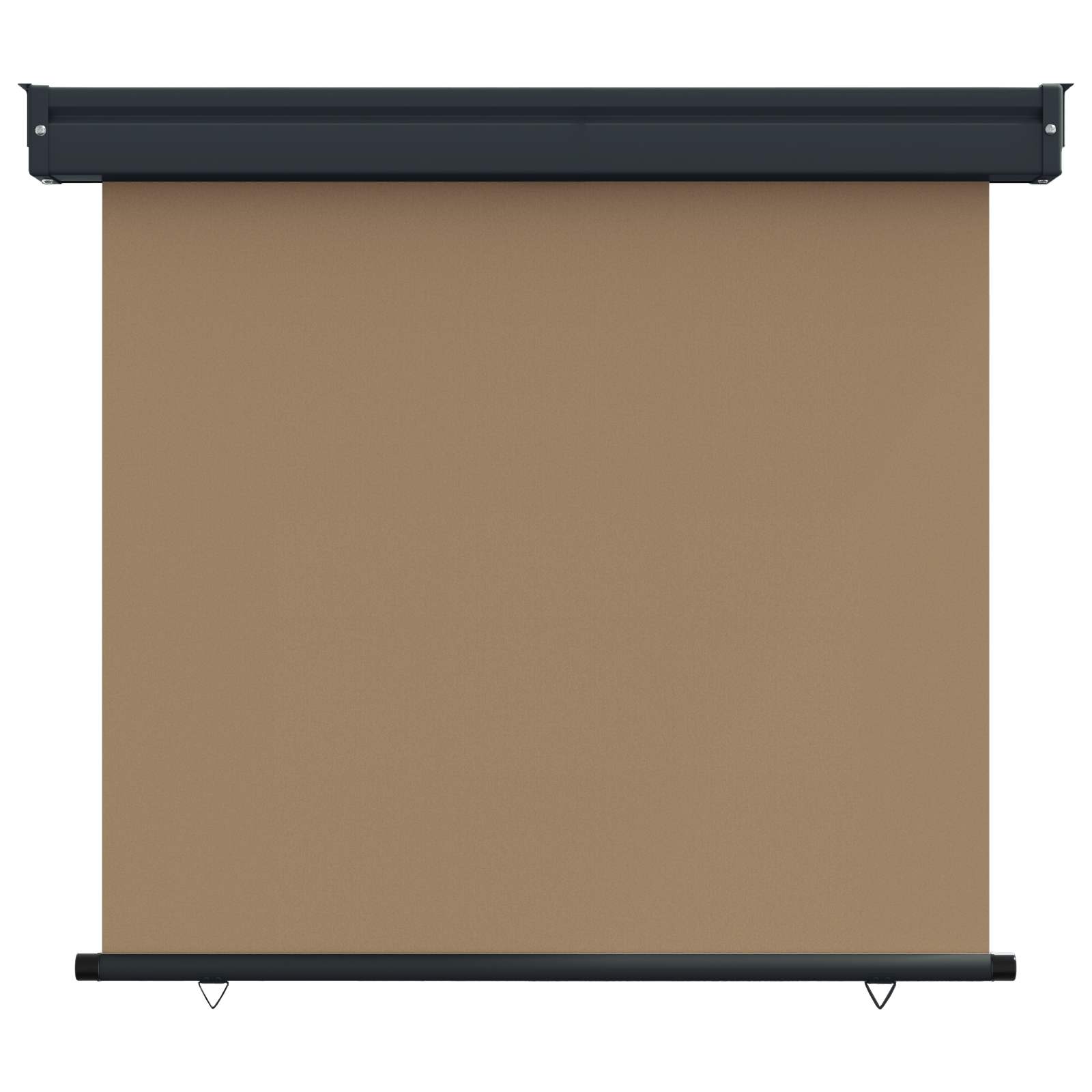 Maison Exclusive - Balkon Seitenmarkise 100 X 250 Cm 100% Polyest