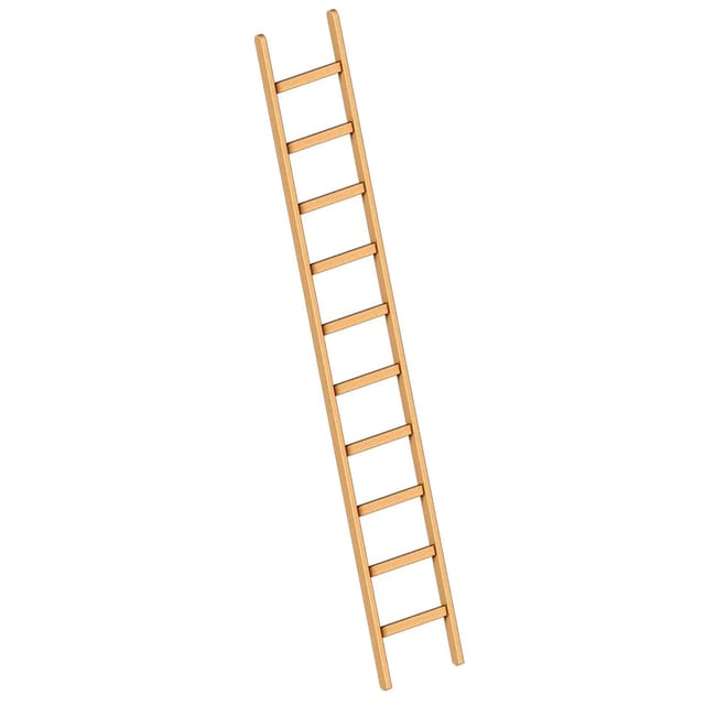 Layher 1052 Holzanlegeleiter 10 Sprossen