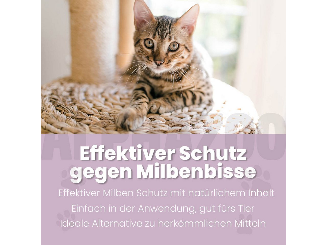 ALPHAZOO Milbenspray MilbHunter Spot-On für Katzen 100 ml, 100 ml, 1-St., Einfach gegen Milben und Grasmilben Bild 4