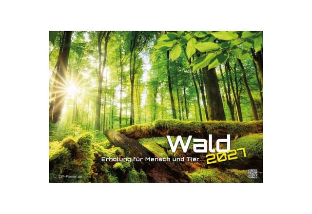 Wandkalender Wald - Erholung für Mensch und Tier - 2027 - Kalender DIN A3