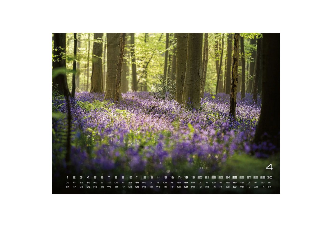 Wandkalender Wald - Erholung für Mensch und Tier - 2027 - Kalender DIN A3 Bild 3