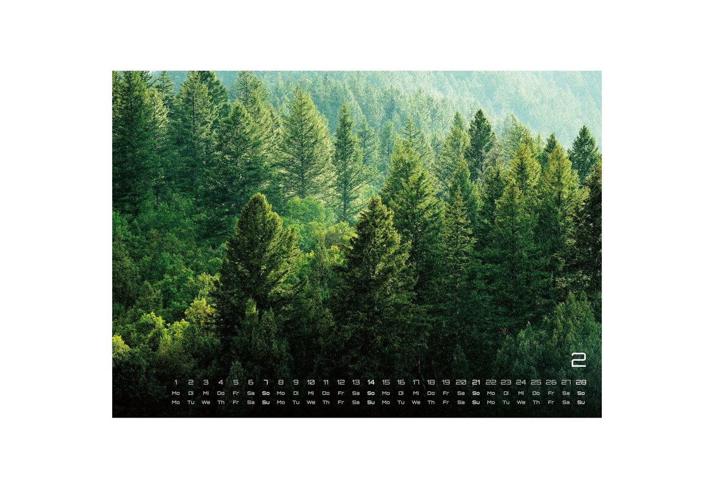 Wandkalender Wald - Erholung für Mensch und Tier - 2027 - Kalender DIN A3 Bild 4