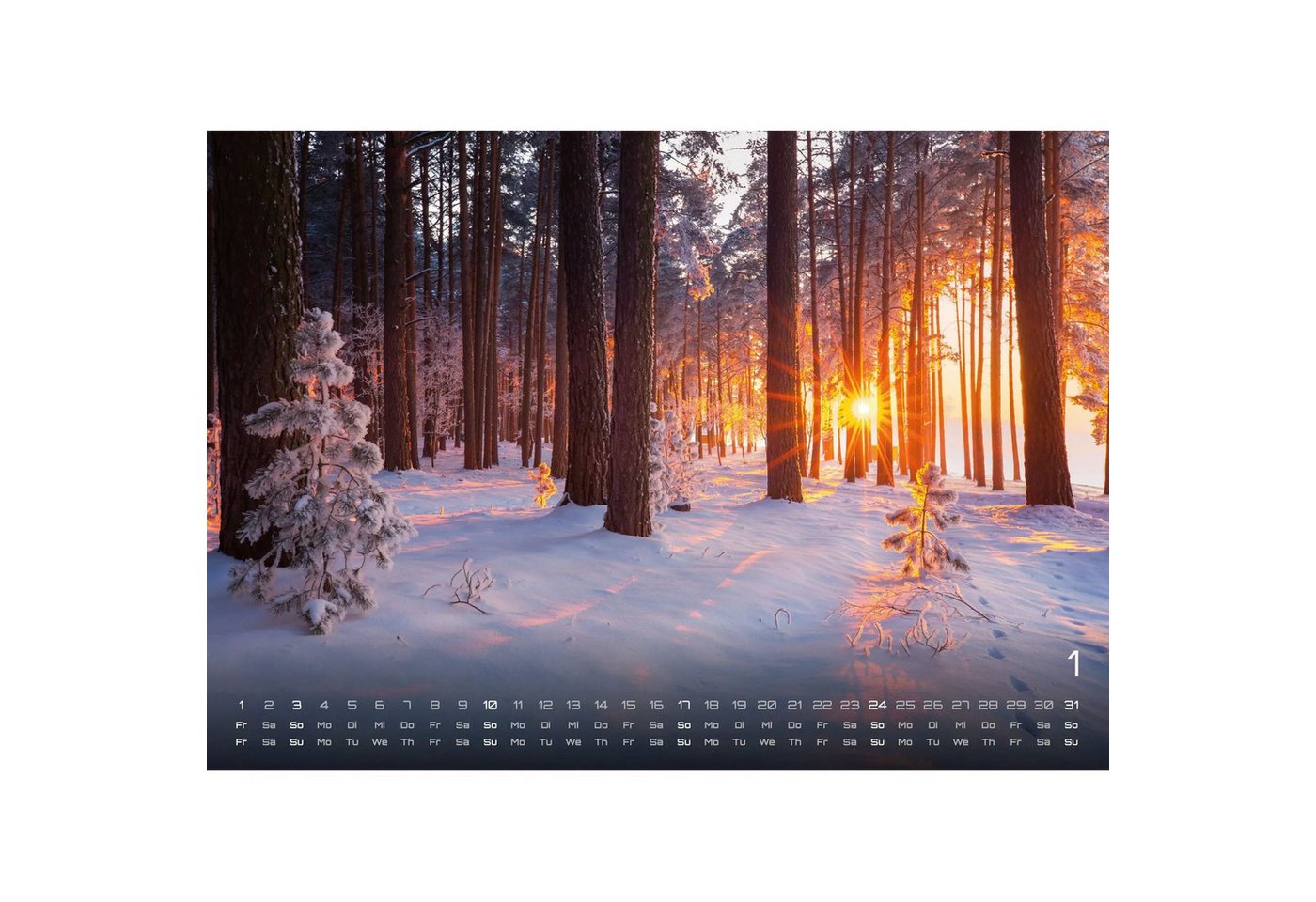 Wandkalender Wald - Erholung für Mensch und Tier - 2027 - Kalender DIN A3 Bild 5