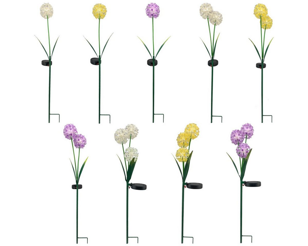 matches21 HOME & HOBBY Gartenstecker Solarstecker Allium 1 Blüte weiß (1-St) Leuchtend