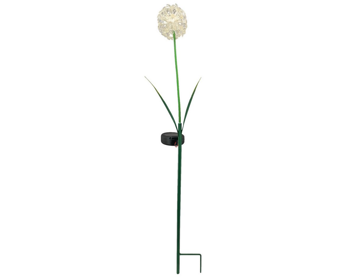 matches21 HOME & HOBBY Gartenstecker Solarstecker Allium 1 Blüte weiß (1-St) Leuchtend Bild 2