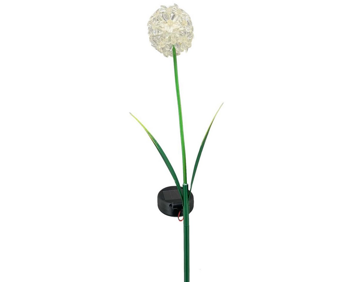 matches21 HOME & HOBBY Gartenstecker Solarstecker Allium 1 Blüte weiß (1-St) Leuchtend Bild 4