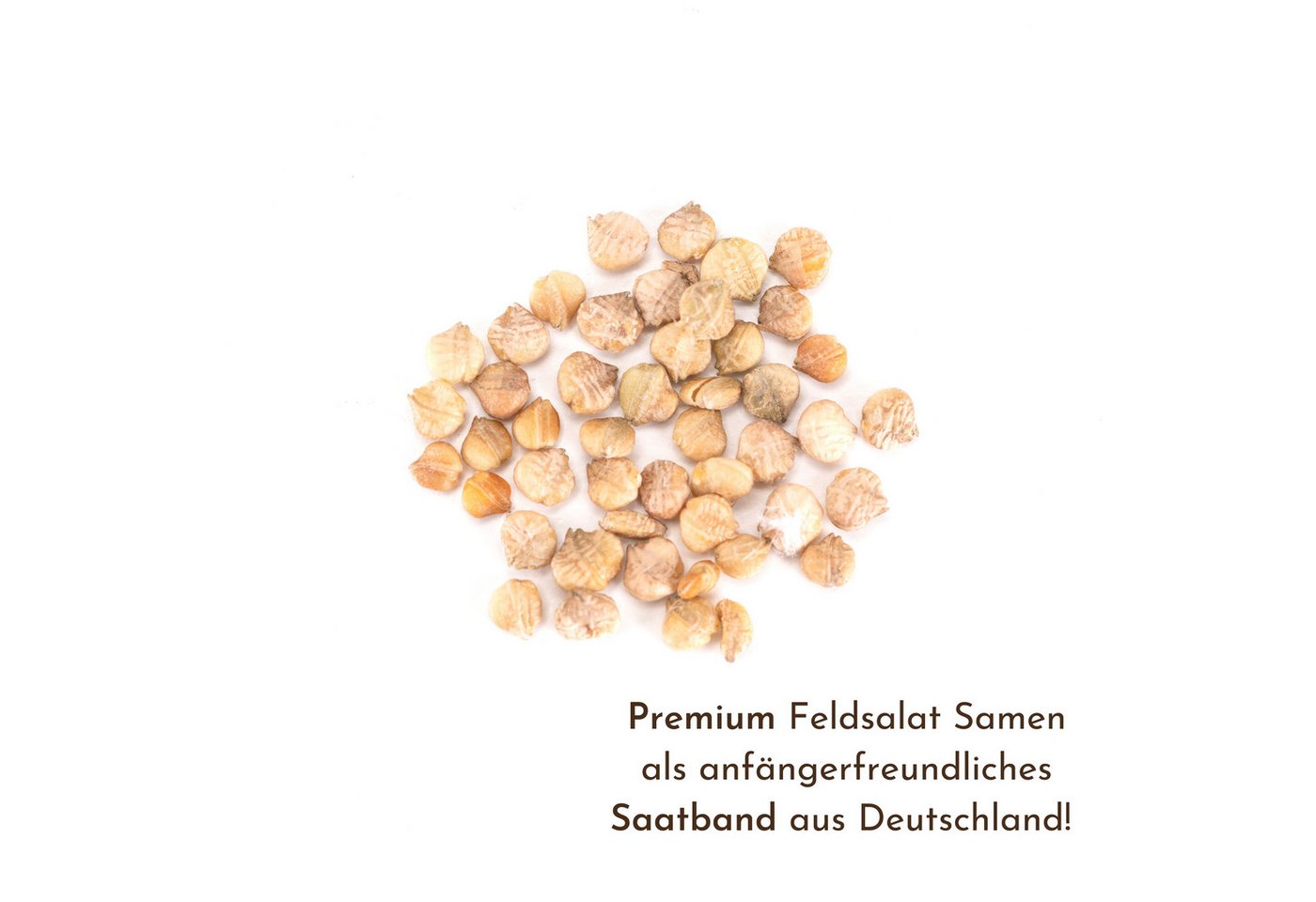HappySeed Gemüsesamen 5m Saatband mit Feldsalat Samen - Verte a coeur plein 2, Saatgut Bild 2