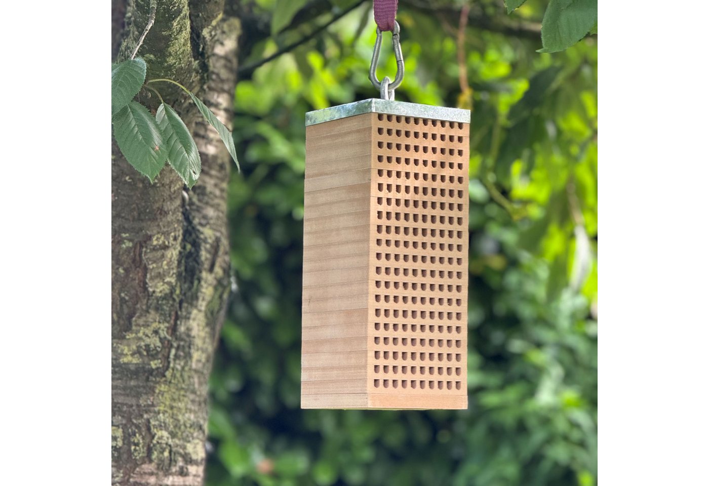 UNUS GARDEN Insektenhotel Maurerbienen Insektenhotel, (40x16x16cm), Insektenhaus, Bienenunterkunft, Bienenhotel Holz, Wildbienenschutz Bild 2