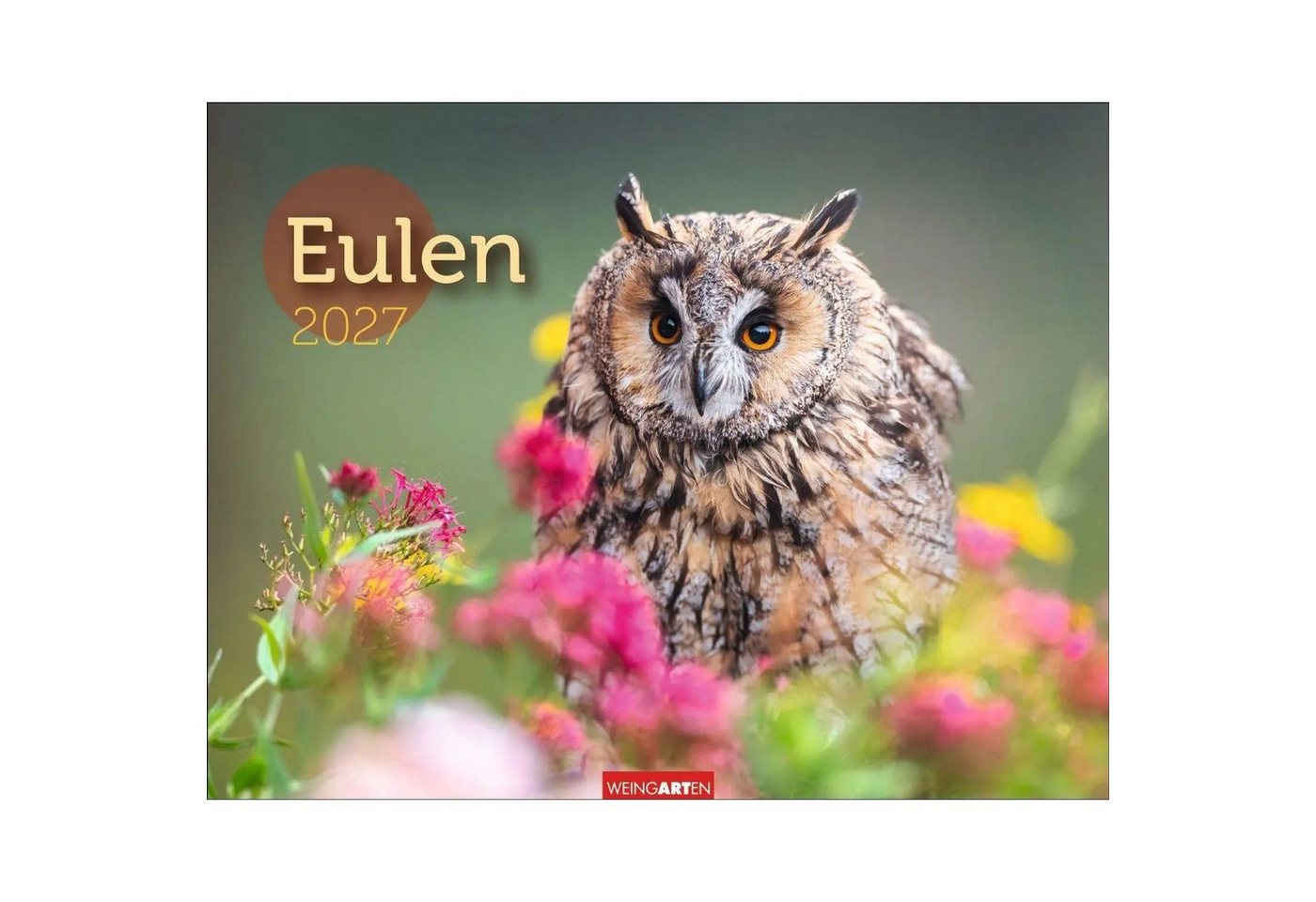 Wandkalender Eulen Kalender 2027 Bild 2