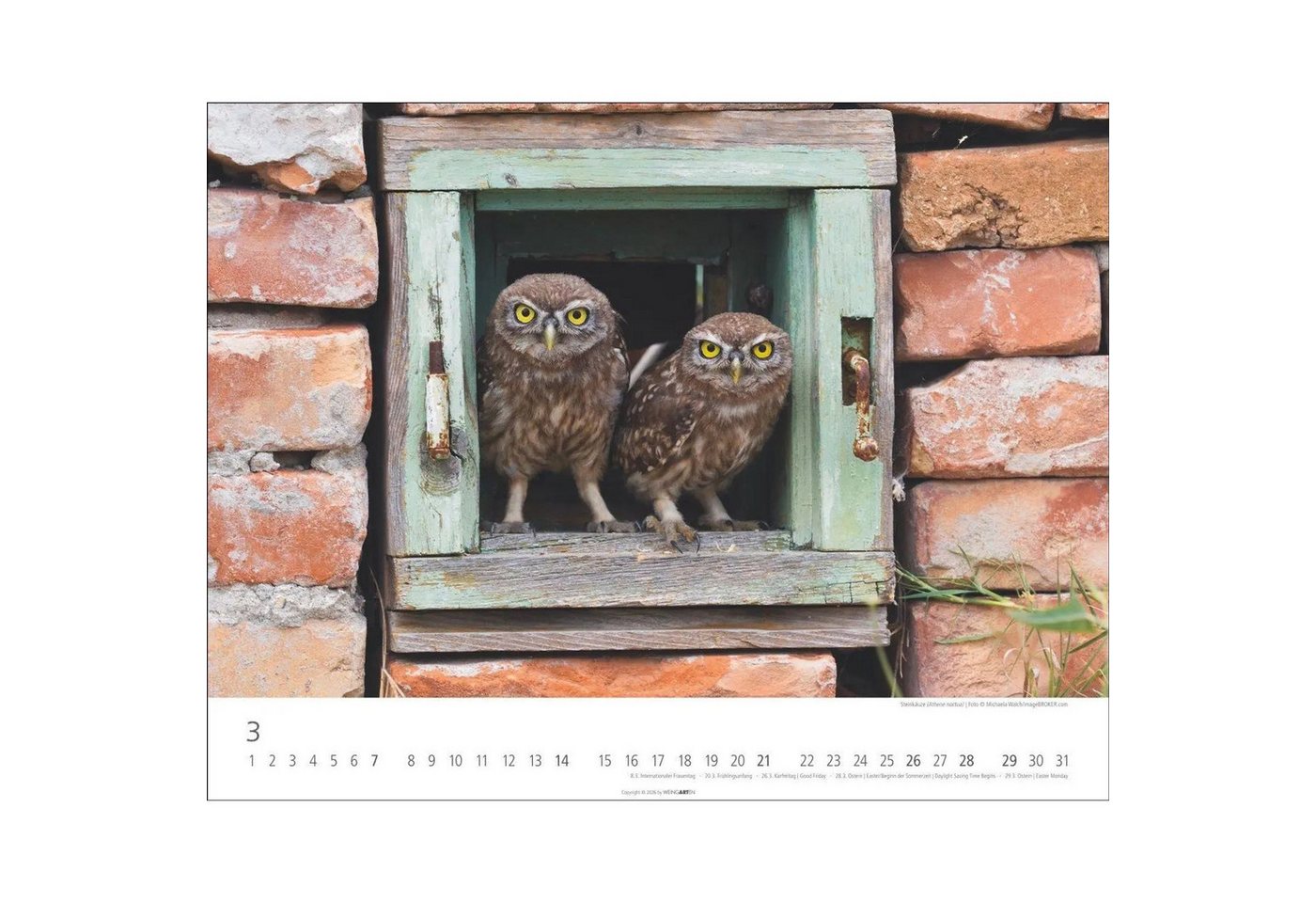 Wandkalender Eulen Kalender 2027 Bild 5