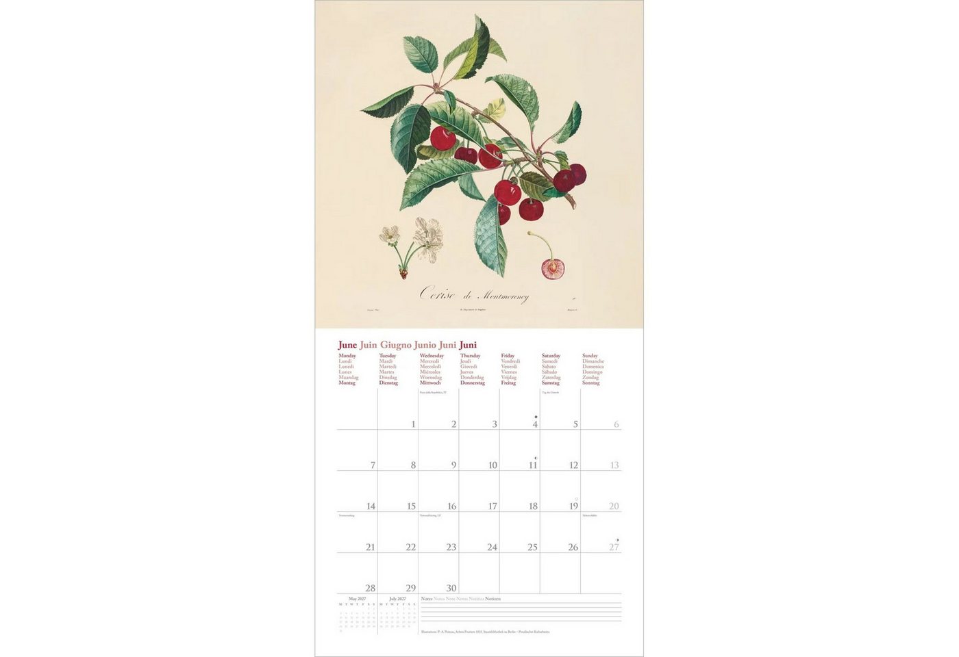 Wandkalender Fruits 2027 Bild 2