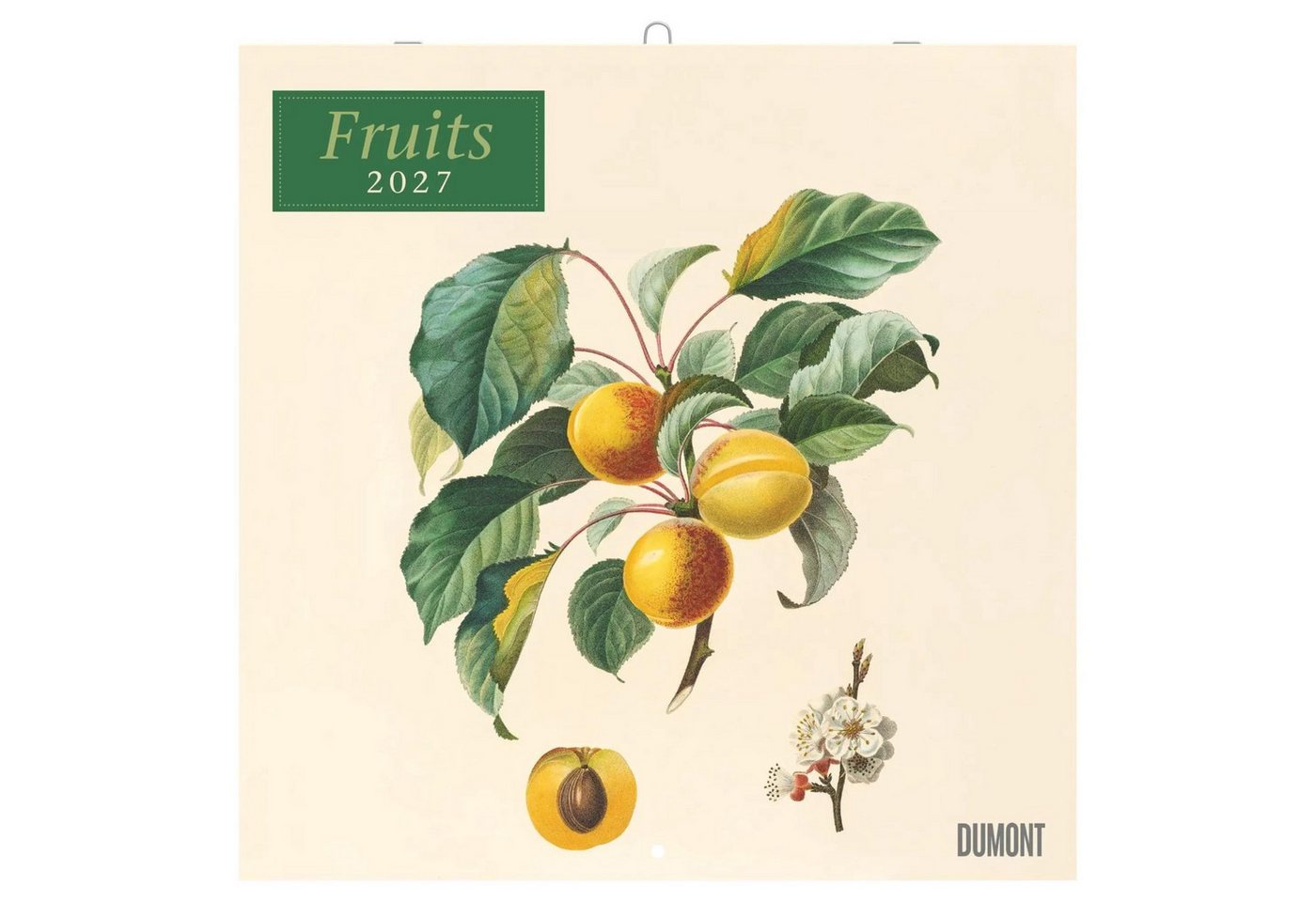 Wandkalender Fruits 2027 Bild 3