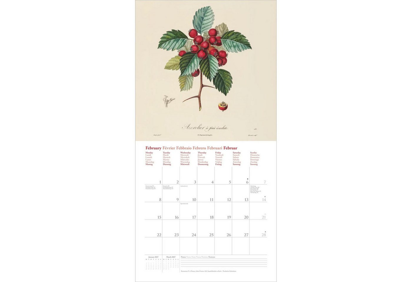 Wandkalender Fruits 2027 Bild 4