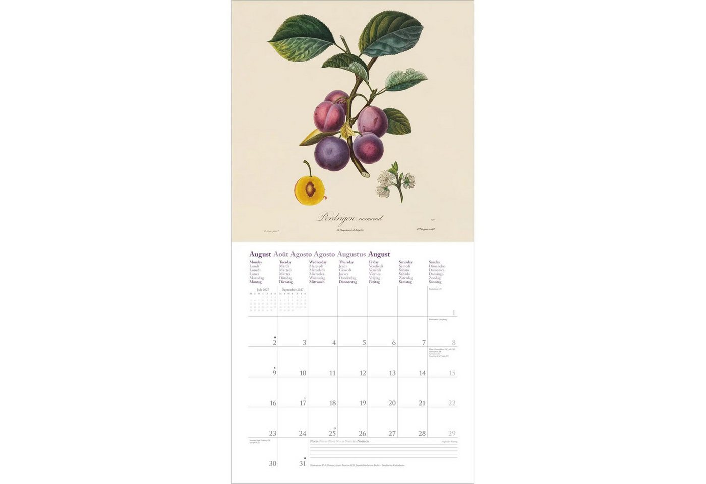 Wandkalender Fruits 2027 Bild 5