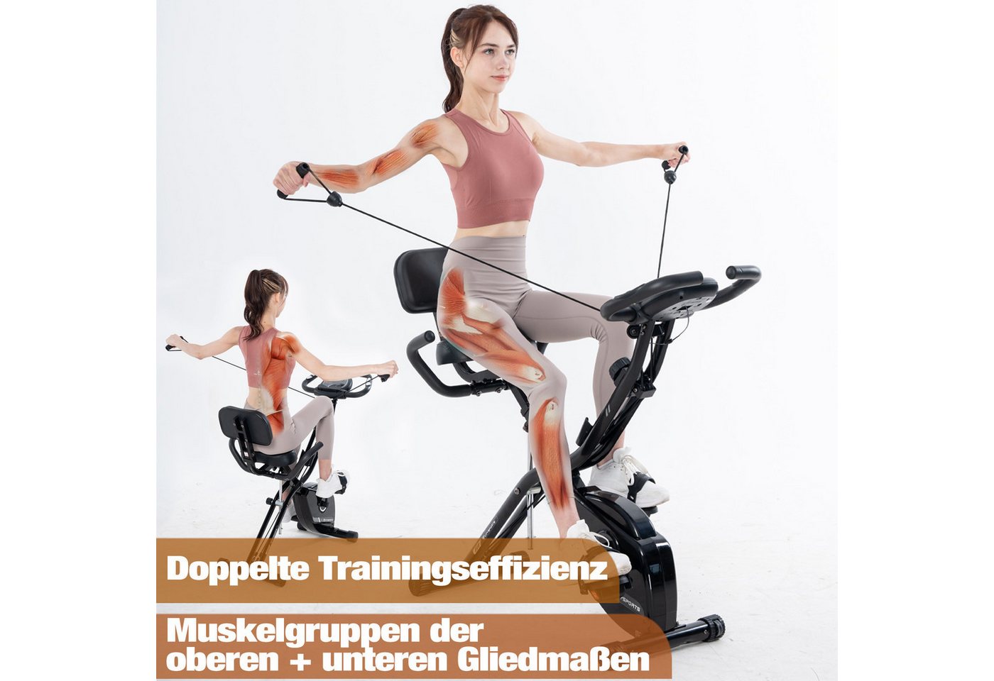 CITYSPORTS Heimtrainer X-Bike klappbar für Zuhause, LCD-Display mit Pulsmessung, Rückenlehne, 8 Widerstandsstufen, Magnetbremse, bis 120 kg, mit Transportrollen Bild 4