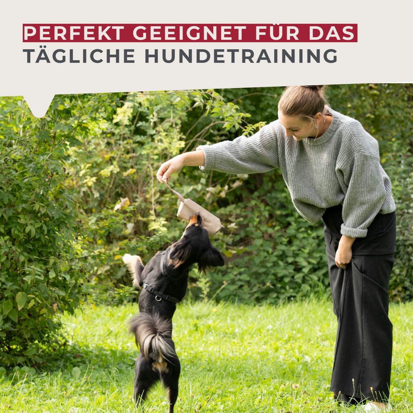 FACKELMANN Leckerlibeutel Snackbeutel, Futterbeutel, Apportierbeutel, Hundetrainingsbeutel Bild 3