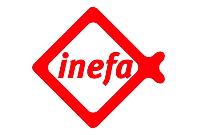 Inefa Wasserspeier Fallrohr PVC DN 50 Weiß Ableitung von Regenwasser