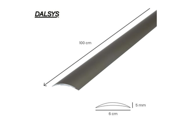 Dalsys Übergangsleiste Selbstklebend 100cm x 60mm Champagner Anpassungsprofil