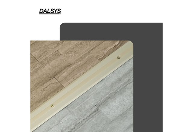 Dalsys Übergangsprofil 90cm x 35mm x 8mm Aluminium Champagner