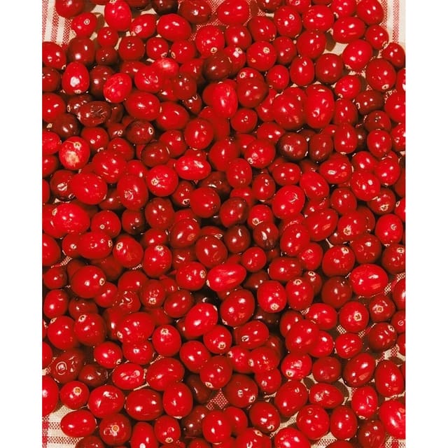 Vaccinium Macrocarpon Cranberry 20–30 Cm