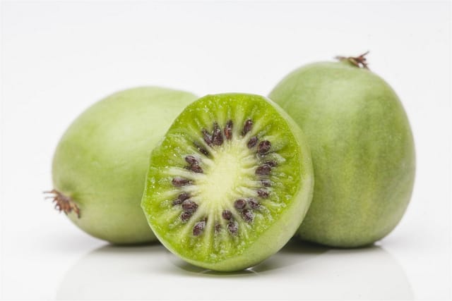 Actinidia Arguta Weiki -R- Kiwi Selbstfruchtend 60–100 cm