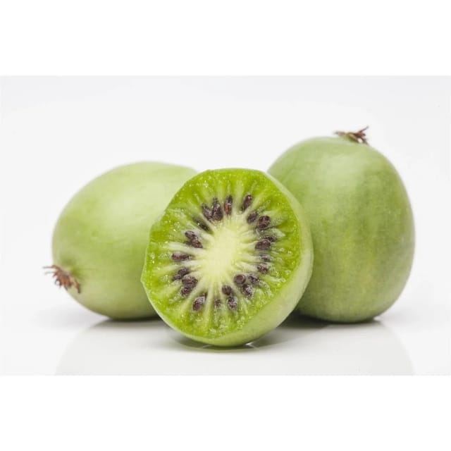 Actinidia Arguta Kiwibeere 150–200 cm Winterhart