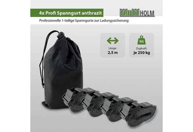 TRUTZHOLM 4x Spanngurt mit Klemmschloss 1 Teilig 2,5m 250kg Traglast Anthrazit mit Tasche