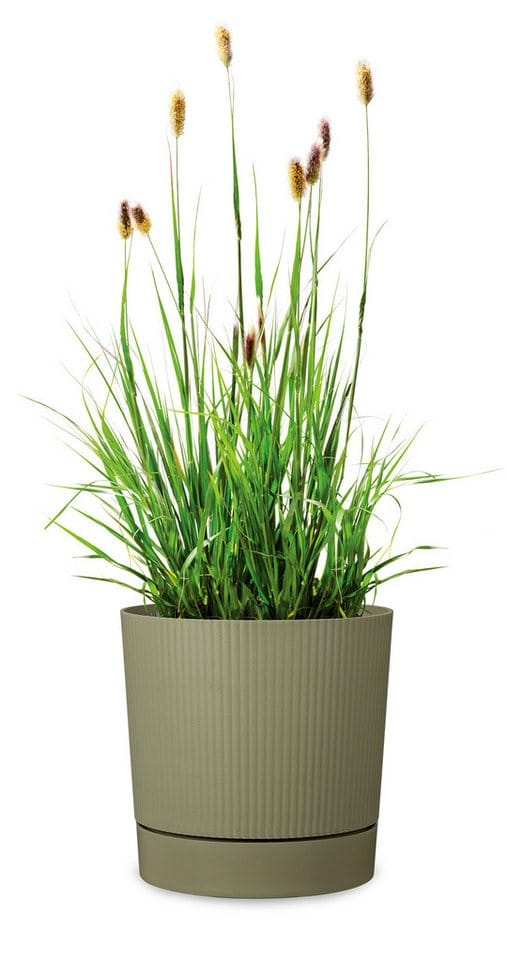 Scheurich Pflanztopf Lino+ PE Ø 28,97 cm x 29 cm Moss Green