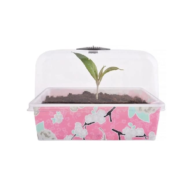 Jet-Line Blumenkasten mit Blumenmuster in Rosa-Weiss 3er Set 22 x 17 x 15 cm