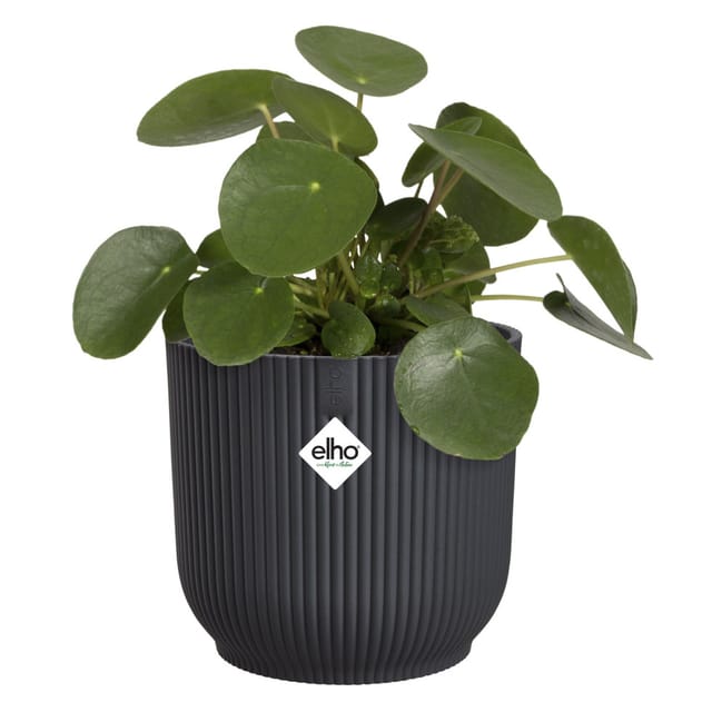 Elho Blumentopf Vibes Fold Rund Ø 22 cm Anthrazit