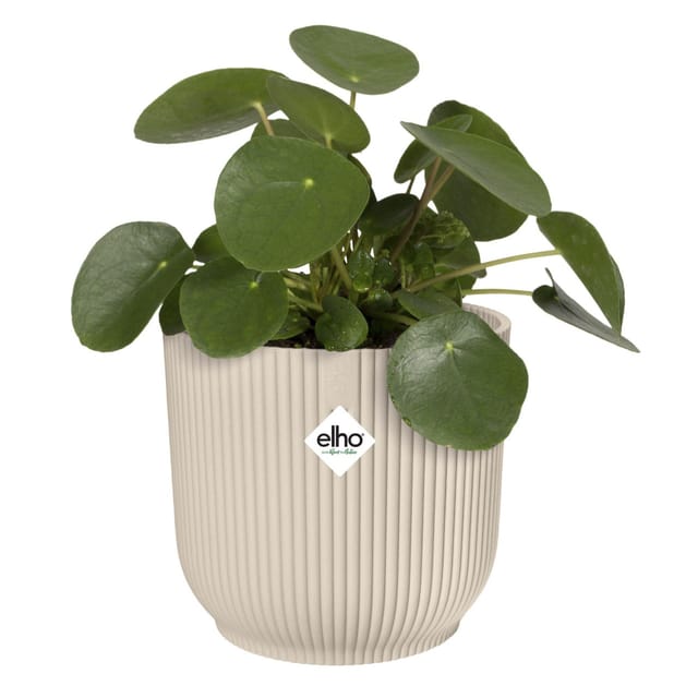 Elho Blumentopf Vibes Fold Rund Ø 16 cm Leinenweiß