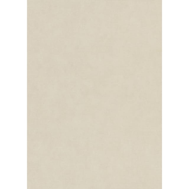 Erismann Vliestapete Elysium Dynamic Flow Beige FSC®
